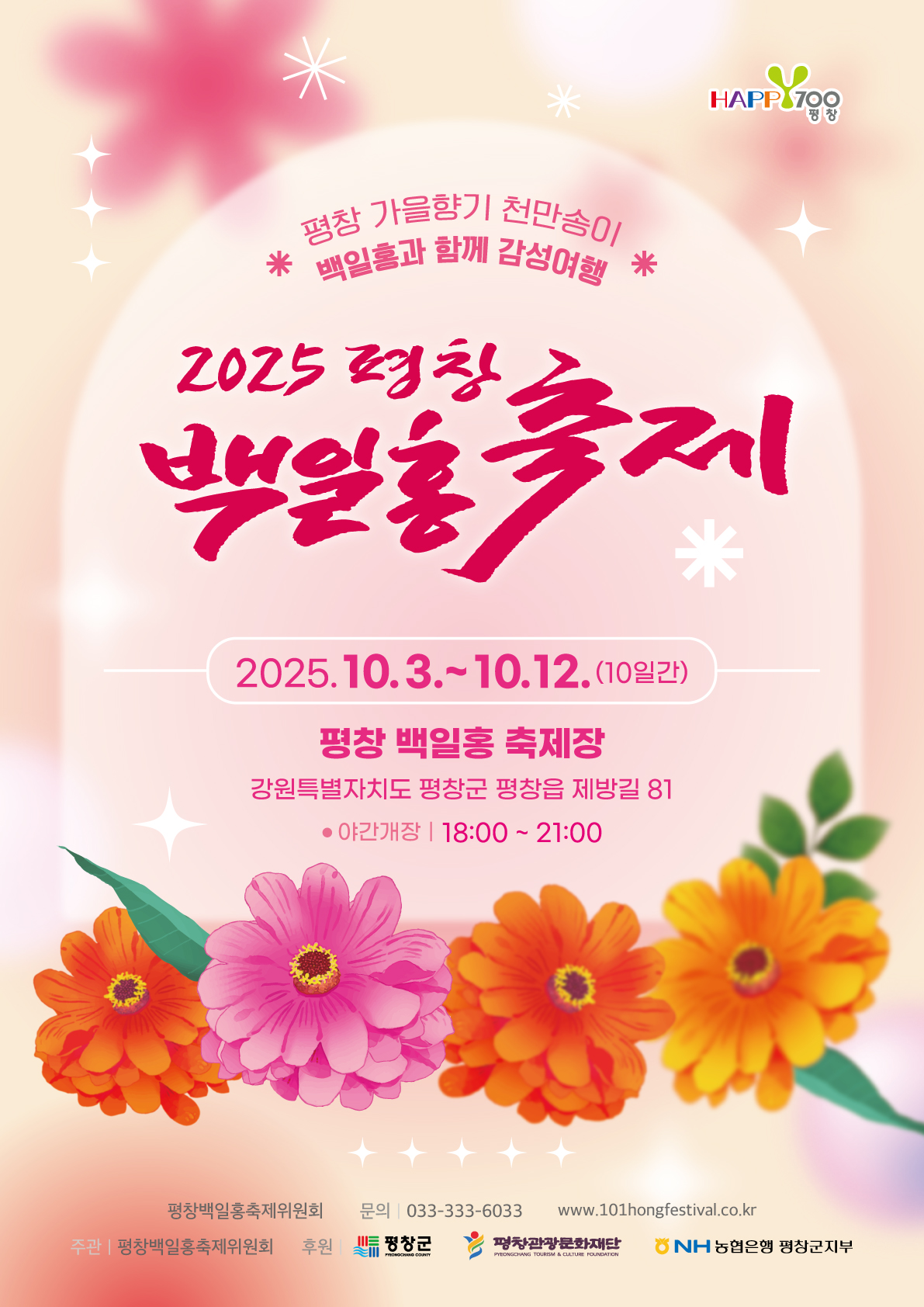 평창 백일홍 축제
