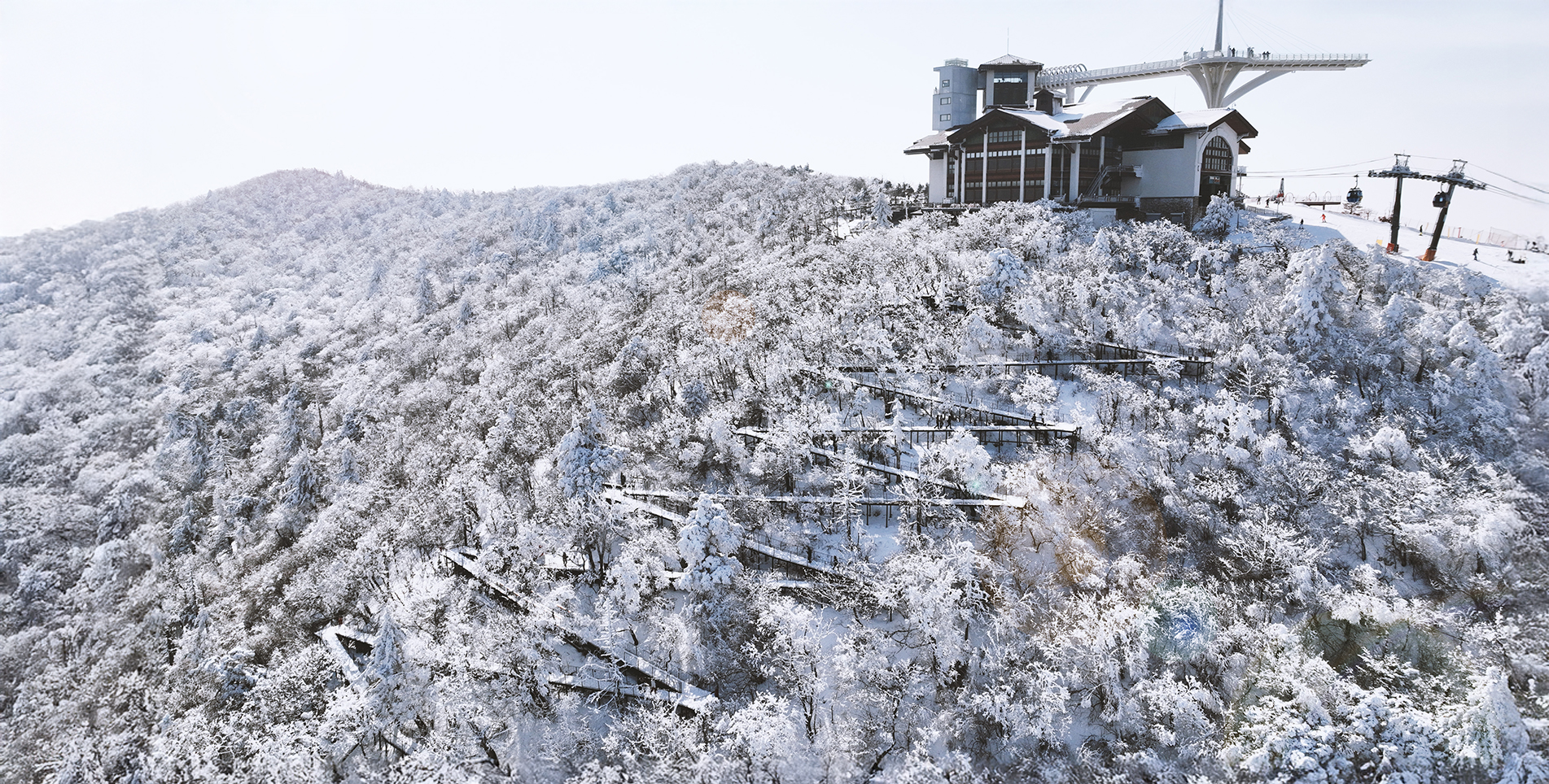 발왕산 스카이워크&대관령목장