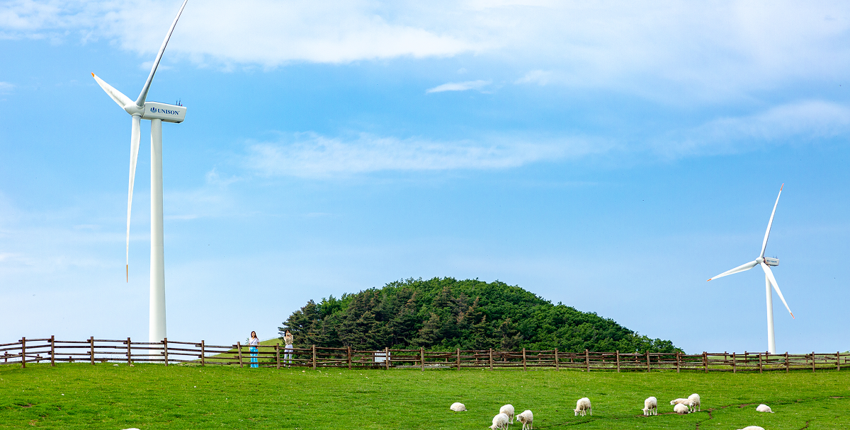 발왕산 스카이워크&대관령목장